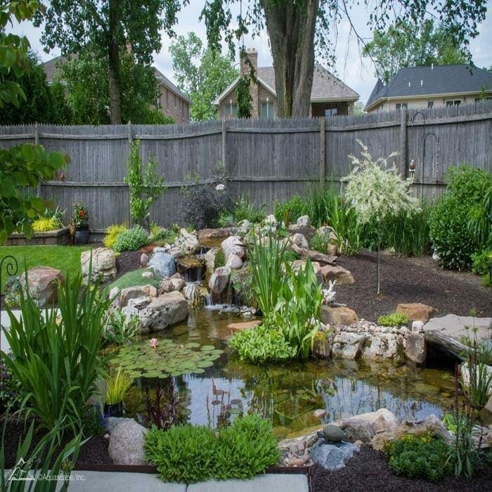 Ecosystem koi pond with waterfall, aquatic plants, and clear water