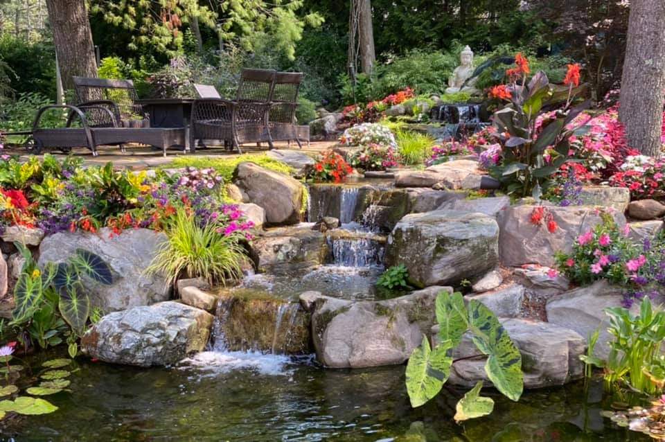 Koi pond waterfall feature
