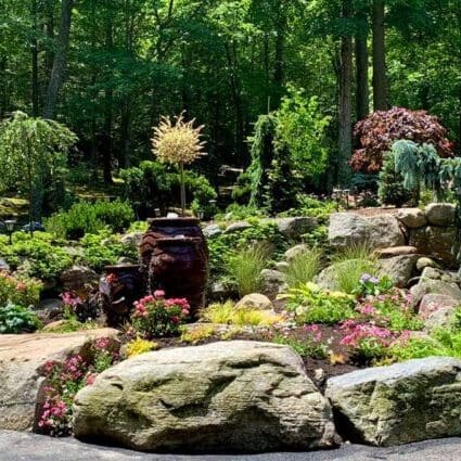 Pond renovation project