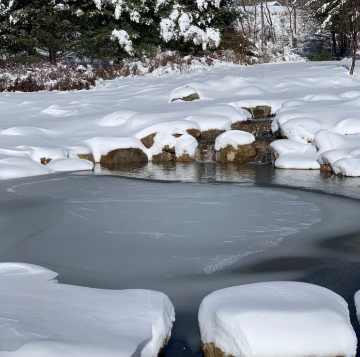 Winter Care